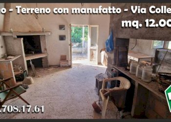 Cantina - Terreno agricolo via Colle Fattore, Gallicano nel Lazio - foto 12