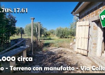 Terreno - Terreno agricolo via Colle Fattore, Gallicano nel Lazio - foto 13