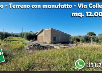 Terreno - Terreno agricolo via Colle Fattore, Gallicano nel Lazio - foto 14