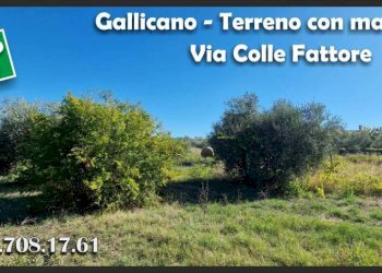 Terreno - Terreno agricolo via Colle Fattore, Gallicano nel Lazio - foto 16