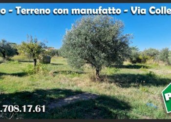 Terreno - Terreno agricolo via Colle Fattore, Gallicano nel Lazio - foto 17