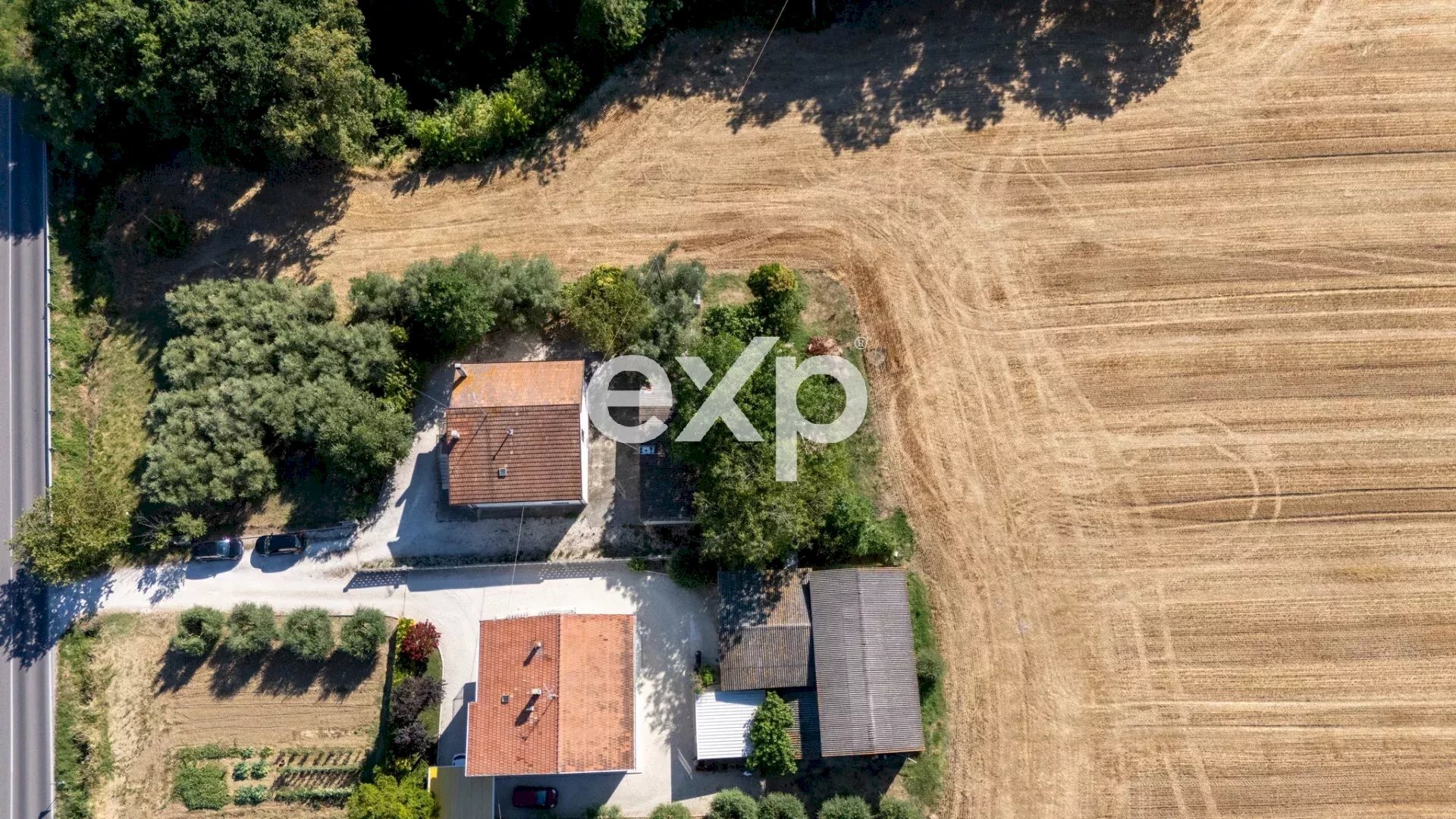 Terreno agricolo Monte Porzio, Monte Porzio - foto 2