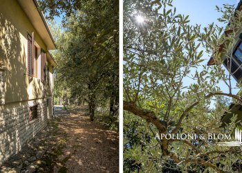 Villa Unifamiliare Strada per Sinalunga, 20, Trequanda - foto 14