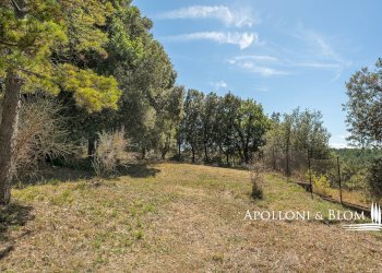 Villa Unifamiliare Strada per Sinalunga, 20, Trequanda - foto 19