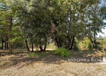 Villa Unifamiliare Strada per Sinalunga, 20, Trequanda - foto 20