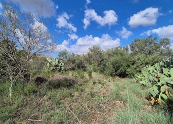 Foto 39 - Villa Via Fraginesi
 
299/A, Castellammare del Golfo - foto 39