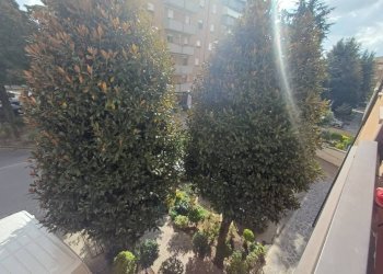 Vista - Trilocale via Pezzana, Carpi - foto 30