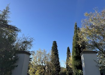 Apartment Bologna (neighborhood Savena) - photo 4