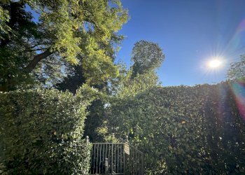 Apartment Bologna (neighborhood Savena) - photo 10