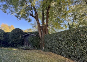 Apartment Bologna (neighborhood Savena) - photo 15