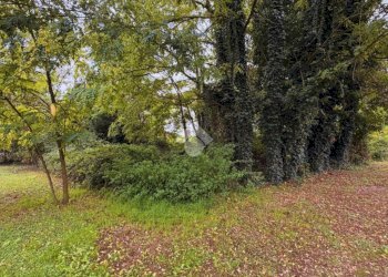 Terreno edificabile Via Pagnoletta, Pozzolo Formigaro - foto 1