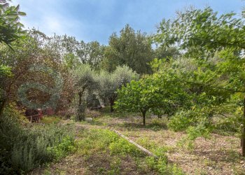 Foto 37 - Casa indipendente Viale Immacolata
 
69, Castrocielo - foto 37