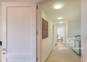 Foto 7 - Ufficio Via Gaetano Donizetti, Roma - foto 7