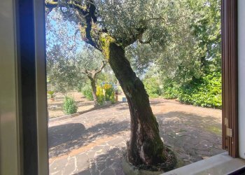 Foto 9 - Casa indipendente Via Pozzo la Traversa, Maenza - foto 9