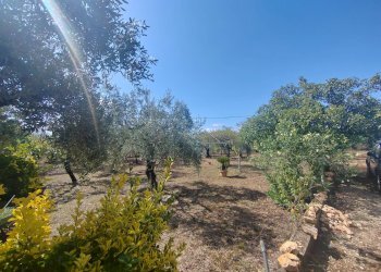 Foto 10 - Casa indipendente Via Pozzo la Traversa, Maenza - foto 10