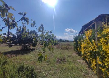 Foto 15 - Casa indipendente Via Pozzo la Traversa, Maenza - foto 15