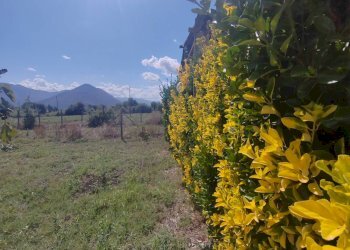 Foto 18 - Casa indipendente Via Pozzo la Traversa, Maenza - foto 18