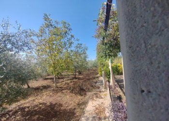 Foto 20 - Casa indipendente Via Pozzo la Traversa, Maenza - foto 20