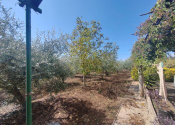 Foto 21 - Casa indipendente Via Pozzo la Traversa, Maenza - foto 21