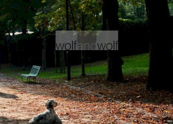 Foto 8 - Commercial Activity Milano - photo 8