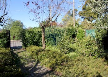 Giardino - Villa via mazzini
 
16, Sangiano - foto 35