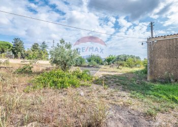 Giardino - Casa indipendente Via benedetto croce, Caltagirone - foto 17