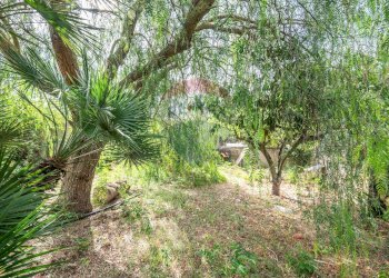 Giardino - Casa indipendente Via benedetto croce, Caltagirone - foto 18