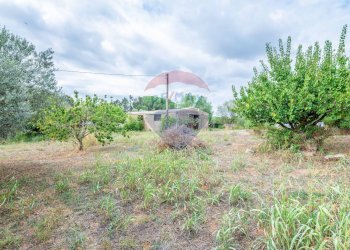 Giardino - Casa indipendente Via benedetto croce, Caltagirone - foto 40