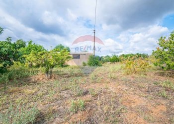 Giardino - Casa indipendente Via benedetto croce, Caltagirone - foto 46
