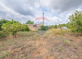 Giardino - Casa indipendente Via benedetto croce, Caltagirone - foto 48