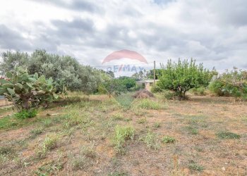 Giardino - Casa indipendente Via benedetto croce, Caltagirone - foto 49