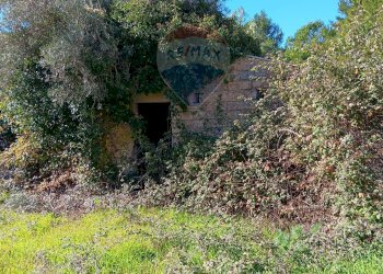 Foto 4 - Terreno edificabile Strada Comunale 89 Siriano, Enna - foto 4