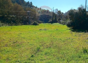 Foto 5 - Terreno edificabile Strada Comunale 89 Siriano, Enna - foto 5