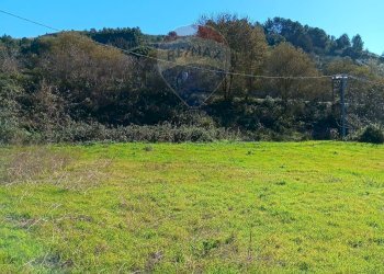 Foto 9 - Terreno edificabile Strada Comunale 89 Siriano, Enna - foto 9