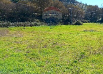 Foto 14 - Terreno edificabile Strada Comunale 89 Siriano, Enna - foto 14