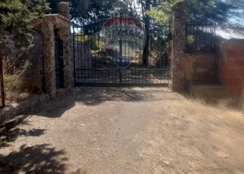 Giardino - Villa Contrada Cusatino
 
snc, Serradifalco - foto 9