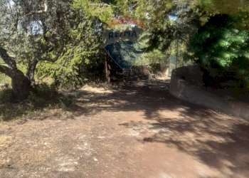 Giardino - Villa Contrada Cusatino
 
snc, Serradifalco - foto 17