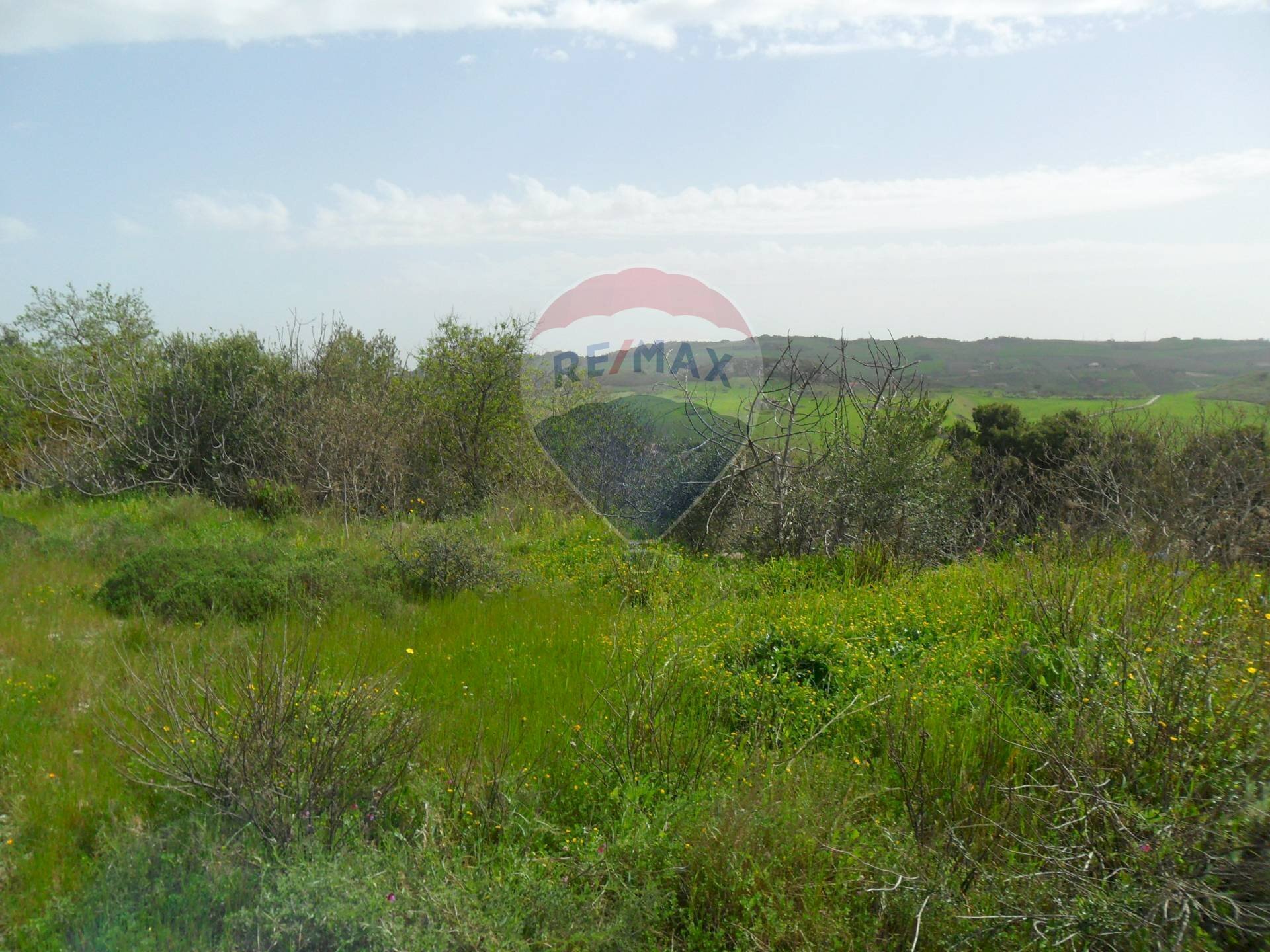 Giardino - Terreno edificabile Contrada Altarello
 
snc, Serradifalco - foto 3