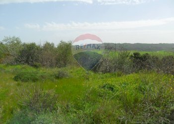 Giardino - Terreno edificabile Contrada Altarello
 
snc, Serradifalco - foto 3