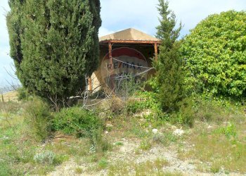 Giardino - Terreno edificabile Contrada Altarello
 
snc, Serradifalco - foto 4