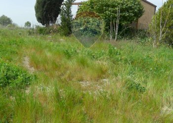 Giardino - Terreno edificabile Contrada Altarello
 
snc, Serradifalco - foto 8