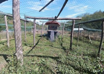 Giardino - Apartment Strada Carpezzo, Dego - photo 17