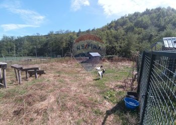 Giardino - Apartment Strada Carpezzo, Dego - photo 21