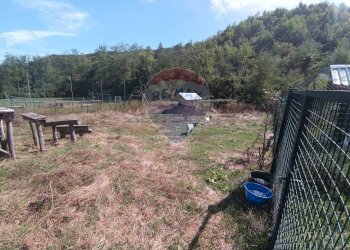 Giardino - Apartment Strada Carpezzo, Dego - photo 22