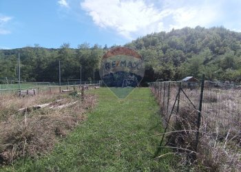 Giardino - Apartment Strada Carpezzo, Dego - photo 29