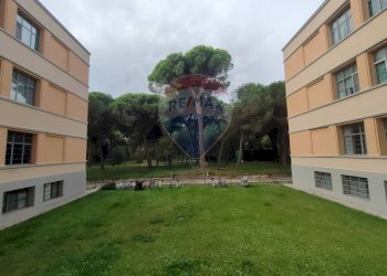 Edificio all\'aperto - Bilocale viale delle nazioni
 
465, Ravenna - foto 5