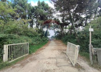 Giardino - Bilocale viale delle nazioni
 
465, Ravenna - foto 6