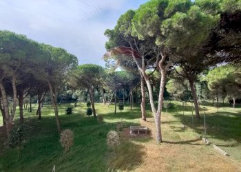 Giardino - Bilocale viale delle nazioni
 
465, Ravenna - foto 7