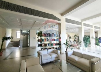 Ricezione / Lobby - Bilocale viale delle nazioni
 
465, Ravenna - foto 35