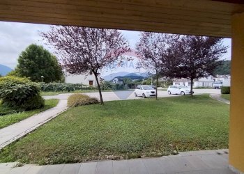 Giardino - Negozio Feltre - foto 11